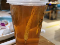-青瓷火锅料理(西单大悦城店)