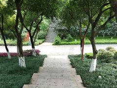 -龙头寺公园