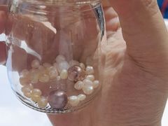 -十八字金·银饰·开蚌DIY·手工体验团建(世纪金源店)