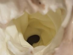 -麦当劳(金沙广场店)