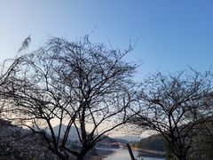 -广州市流溪河国家森林公园