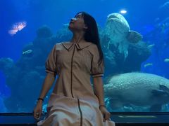 -成都浩海立方海洋公园