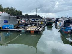 -蓝湾碧波·老字号·疍家非遗海上餐厅