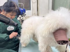 -暖阳宠物医院·犬猫康复中心·骨科