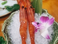 -银子铁板烧料理自助餐(人民广场店)