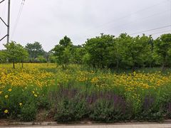 -石家庄市植物园