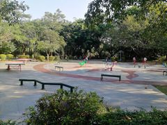 -滴水岩森林公园