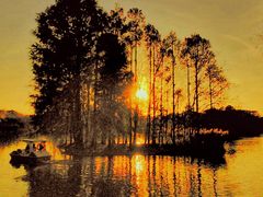 -上海共青森林公园