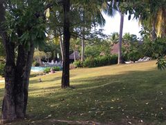 -三亚珠江南田温泉度假区