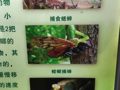 -上海昆虫博物馆