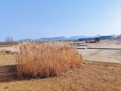 -良渚古城遗址公园