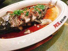 清蒸黄河大鲤鱼-阿五黄河大鲤鱼(纬三路店)