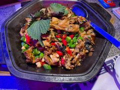 -蛙来哒(汇一城黑金冠店)