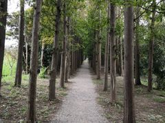 -上海长兴岛郊野公园