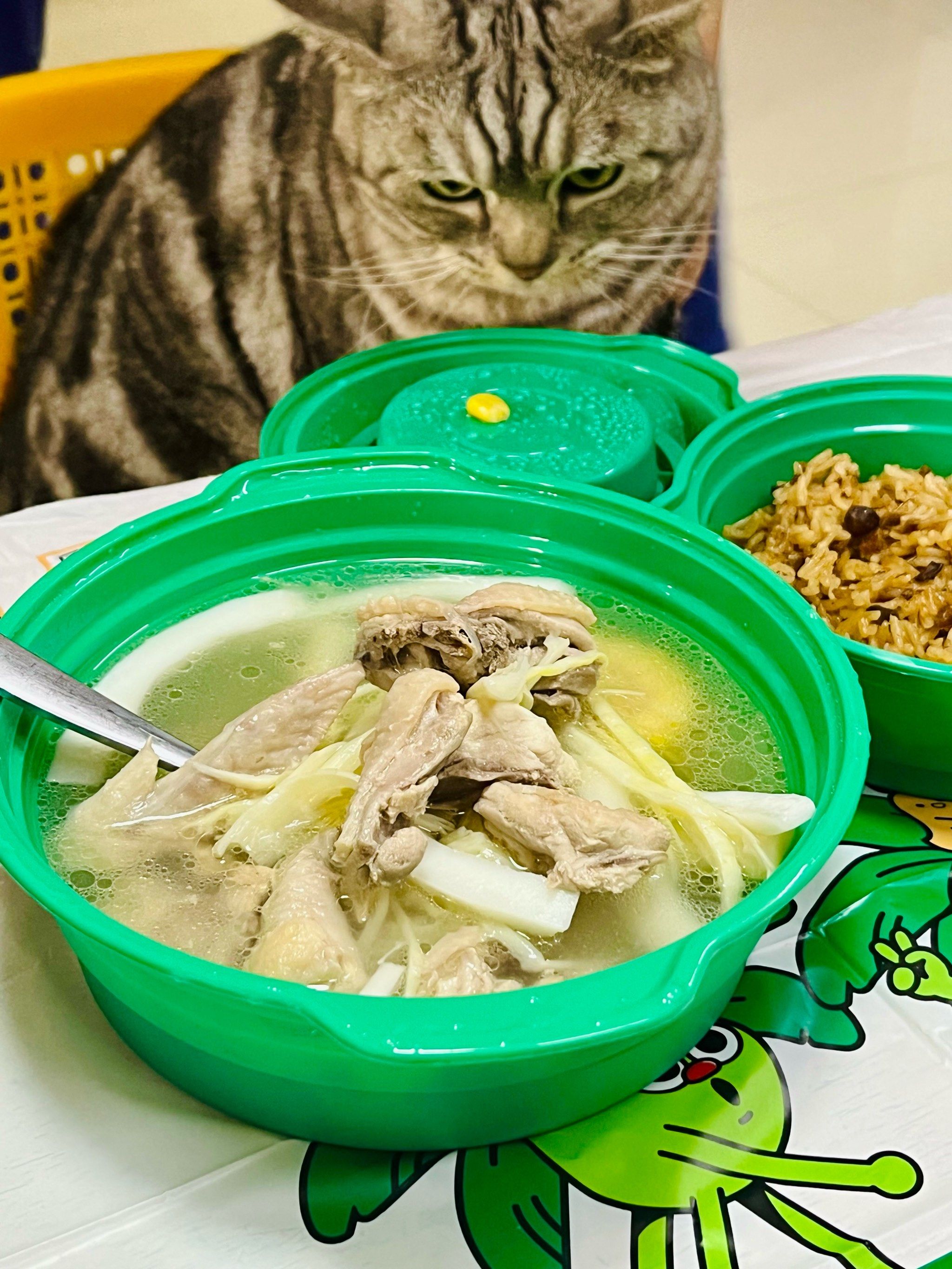 猫咪看了也想一起吃的椰子鸡外卖01