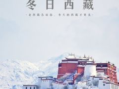 -布达拉宫
