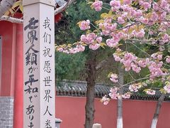 -石岛赤山风景区