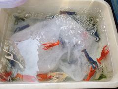iphone_upload_pic-清平路水族市场