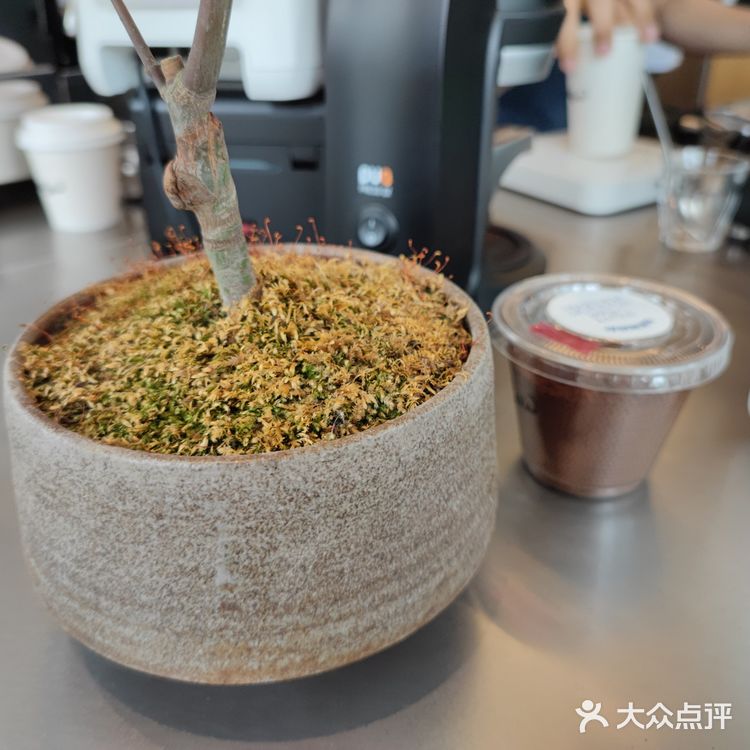成都SeesawCOFFEE探店 特调咖啡太棒！