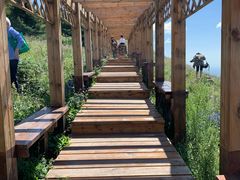 -白草畔自然风景区