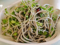 香椿苗拌豆腐丝-博雅渔港·融合菜(维也纳国际大酒店)