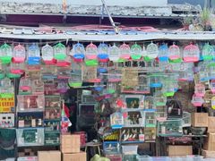 -溪岸路花鸟市场