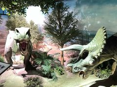 -国家自然博物馆