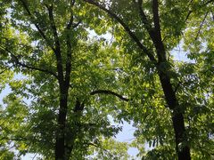 -阳台山自然风景区