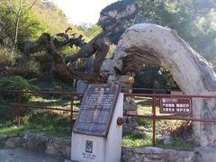 -藏山旅游风景区
