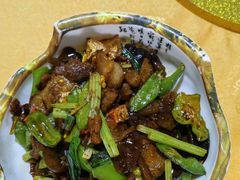 -鲤鱼塘农家山庄