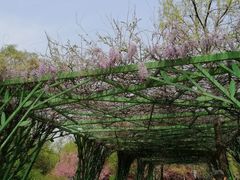 -建国门(地铁站)