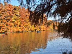 -上海海湾国家森林公园