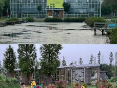 -前小桔亲子创意农场·草莓采摘·露营烧烤