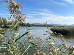 -野鸭湖国家湿地公园