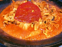 -红辣椒八爪鱼特色韩国料理