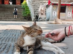 -宝通禅寺