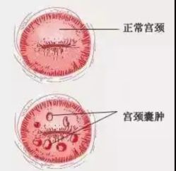 -邢台妇产医院