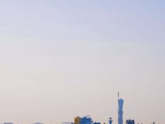 -上海滨江森林公园