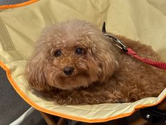 -E+有冰工厂·昆仑寒宫2(五角场店)