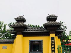 -御林古桑园