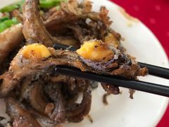 -蛇口康乐快餐鱼仔档(翠苑小区店)