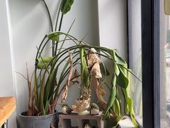 -HAPPEN(江川东路店)