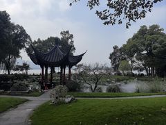 -杭州西湖柳莺里酒店·闻莺厅