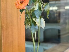 -V Bar海景扒房(北海湾惠龙万达嘉华酒店)