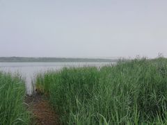-绿堤公园