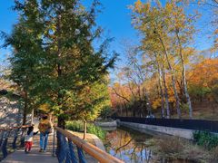 -白水寺森林公园