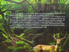 -辽宁大学(崇山校区)