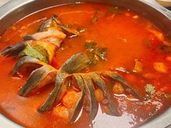 -芦苇荡·酸汤鱼(回龙观店)