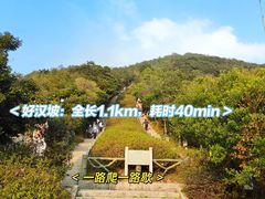 -梧桐山风景名胜区