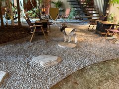 -J Create城市露营咖啡·简餐·宠物(上海动物园店)